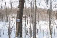 /album/pictures-in-trees/picture-in-tree-6-jpg/